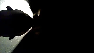 Wearing down some pussy